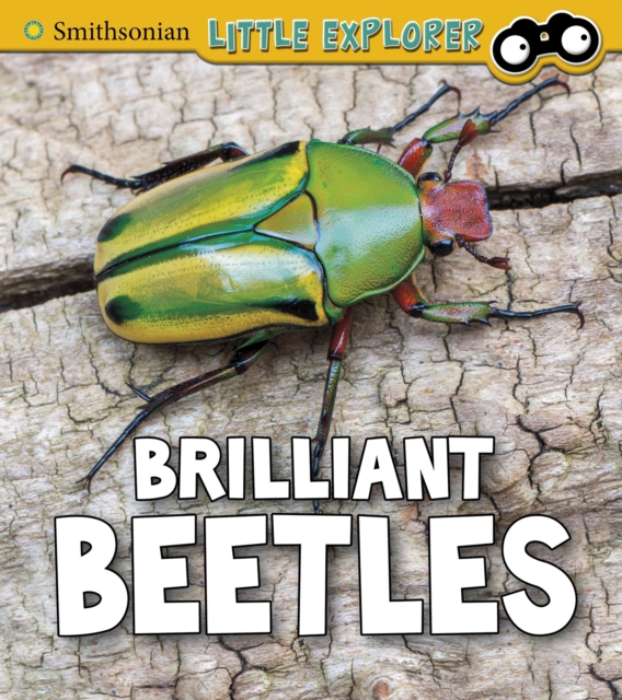 Brilliant Beetles, Hardback Book