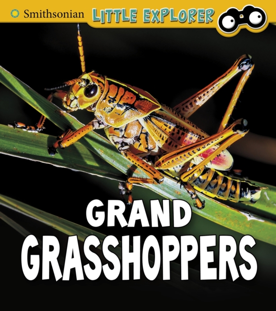 Grand Grasshoppers, Hardback Book
