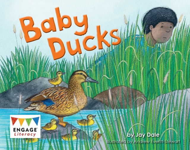 Baby Ducks, Paperback / softback Book