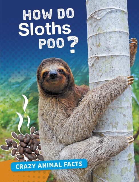How Do Sloths Poo?, Paperback / softback Book
