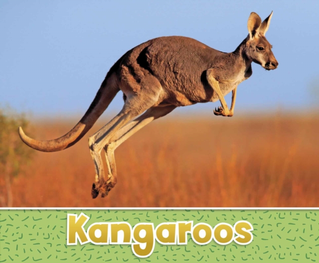 Kangaroos, Hardback Book