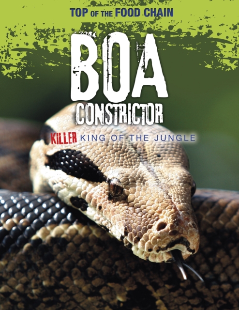 Boa Constrictor : Killer King of the Jungle, Paperback / softback Book