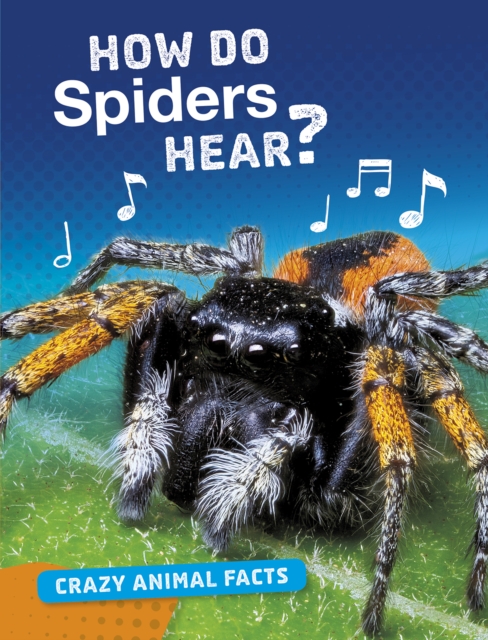 How Do Spiders Hear?, PDF eBook