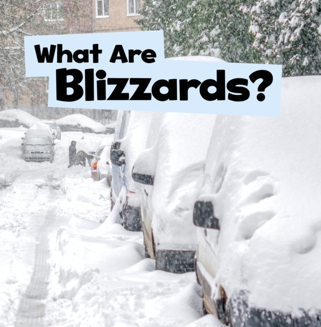What Are Blizzards?, PDF eBook