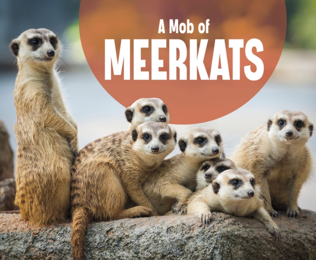 A Mob of Meerkats, Paperback / softback Book