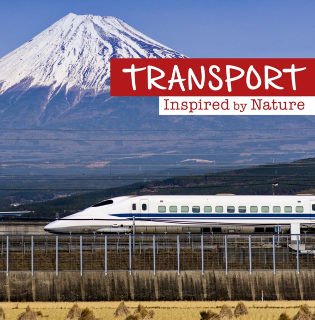 Transport Inspired by Nature, PDF eBook
