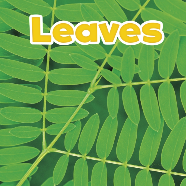 Leaves, Paperback / softback Book