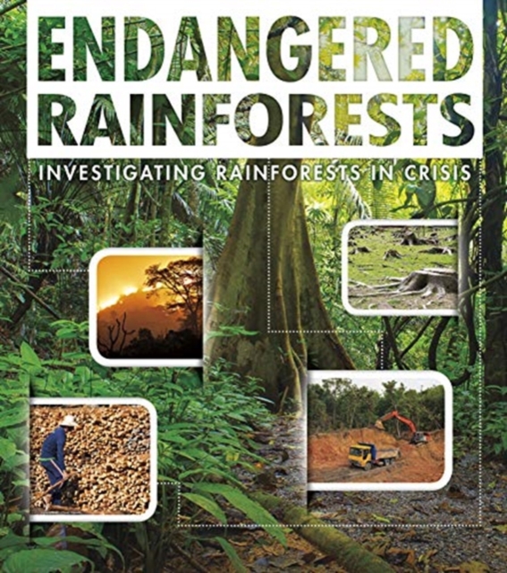 Endangered Rainforests : Investigating Rainforests in Crisis, Hardback Book