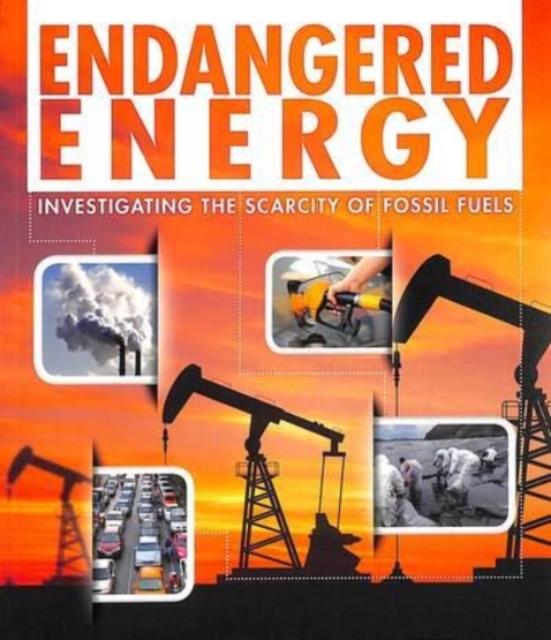 Endangered Energy : Investigating the Scarcity of Fossil Fuels, Paperback / softback Book