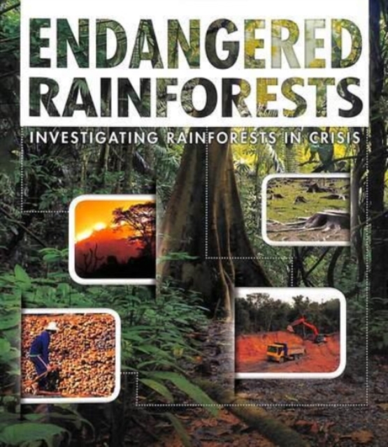 Endangered Rainforests : Investigating Rainforests in Crisis, Paperback / softback Book