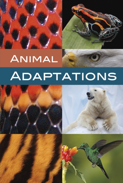 Animal Adaptations, Hardback Book