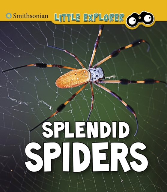 Splendid Spiders, PDF eBook