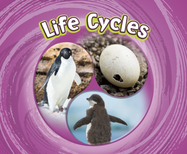 Life Cycles, Paperback / softback Book