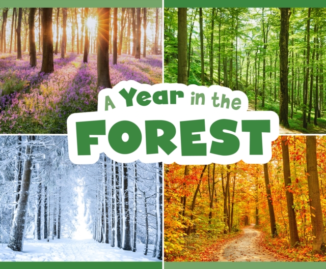 A Year in the Forest, PDF eBook