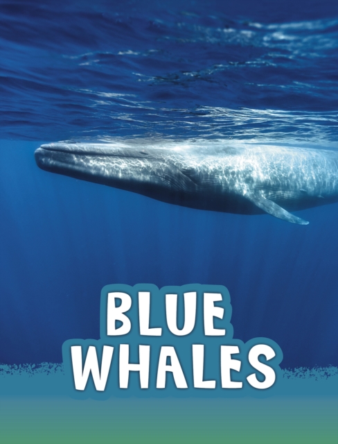 Blue Whales, PDF eBook