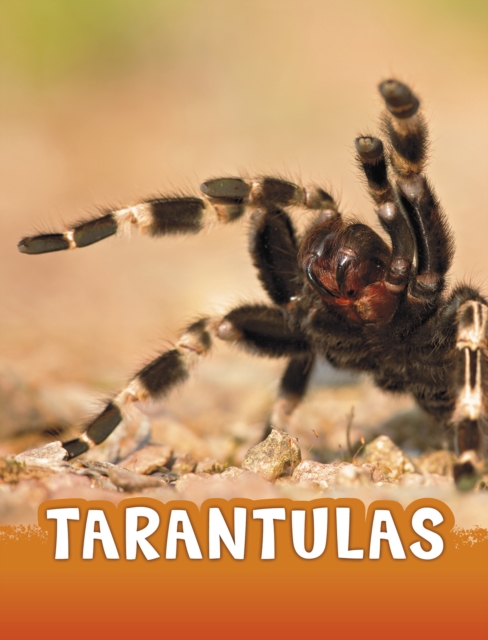 Tarantulas, PDF eBook