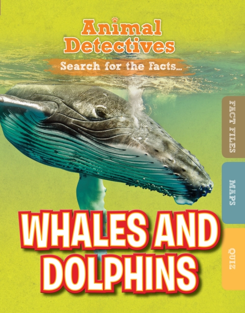 Whales and Dolphins, Hardback Book