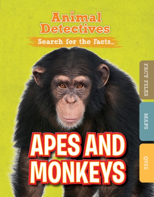 Apes and Monkeys, Paperback / softback Book