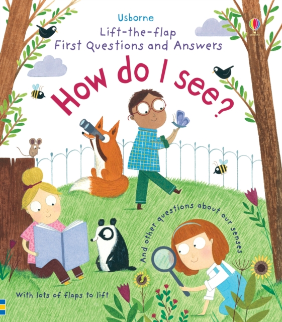 First Questions and Answers: How do I see?, Board book Book
