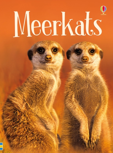 Meerkats, Hardback Book