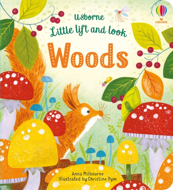 Little Lift and Look Woods, Board book Book