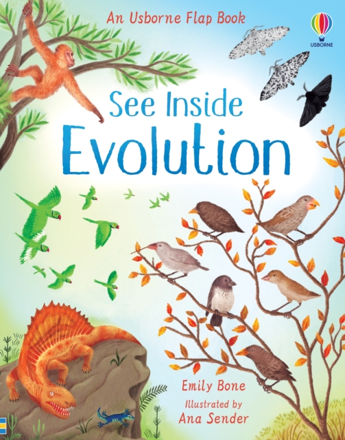 See Inside Evolution, Board book Book