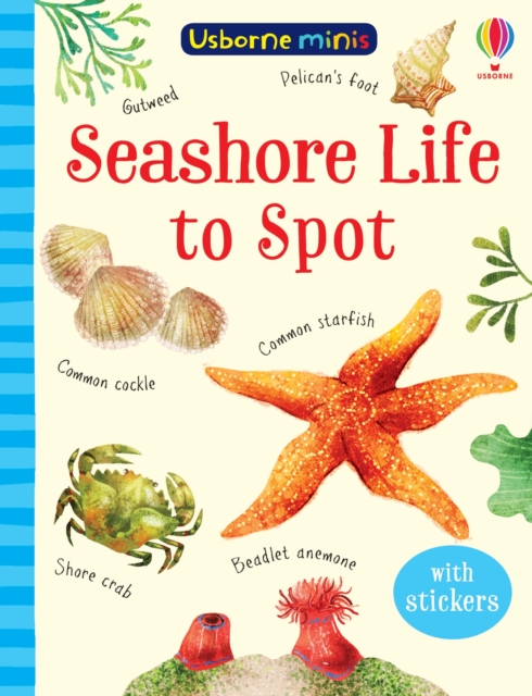 Seashore Life to Spot, Paperback / softback Book