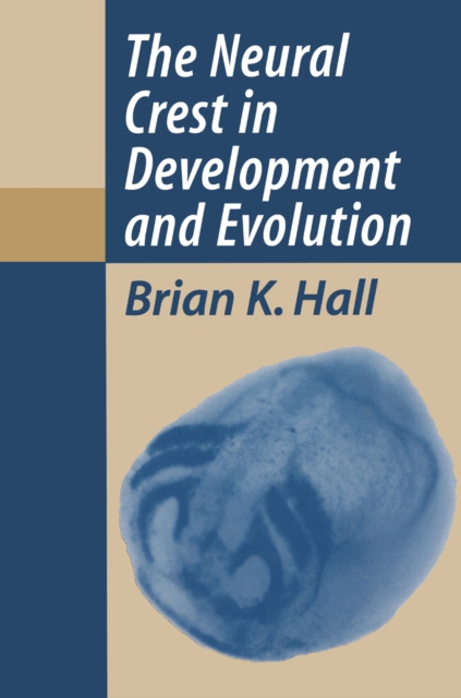 The Neural Crest in Development and Evolution, PDF eBook