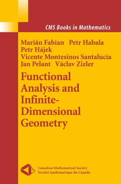 Functional Analysis and Infinite-Dimensional Geometry, PDF eBook