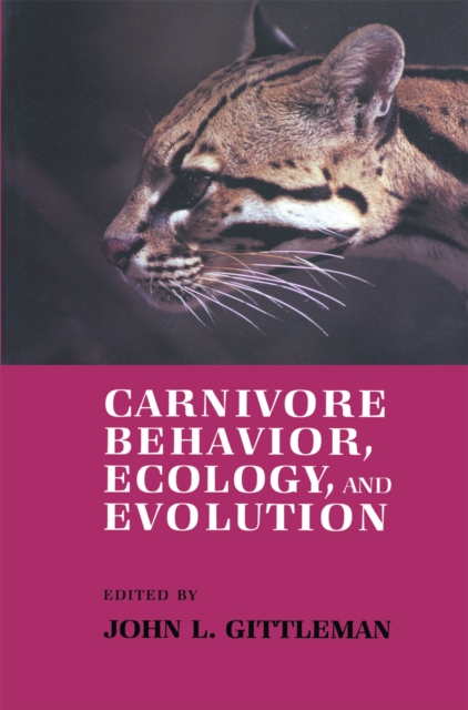 Carnivore Behavior, Ecology, and Evolution, PDF eBook