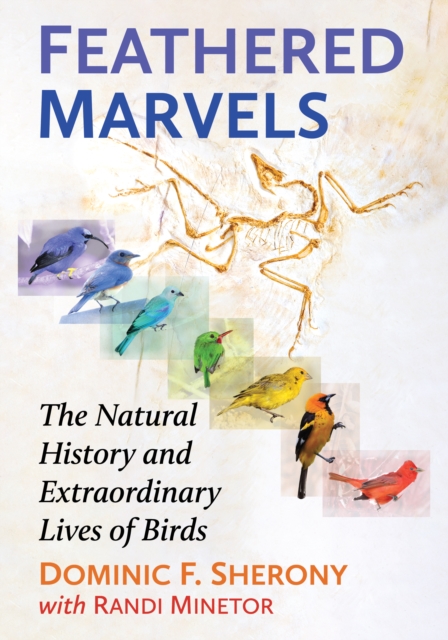 Feathered Marvels : The Natural History and Extraordinary Lives of Birds, EPUB eBook