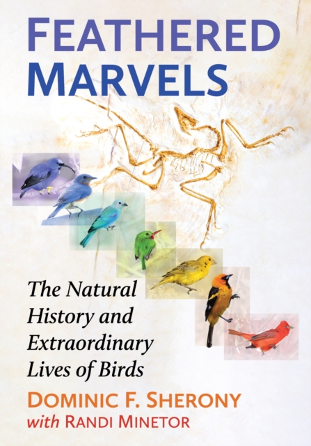 Feathered Marvels : The Natural History and Extraordinary Lives of Birds, Paperback / softback Book