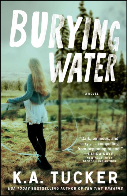 Burying Water : A Novel, EPUB eBook