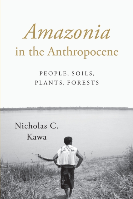 Amazonia in the Anthropocene : People, Soils, Plants, Forests, Paperback / softback Book