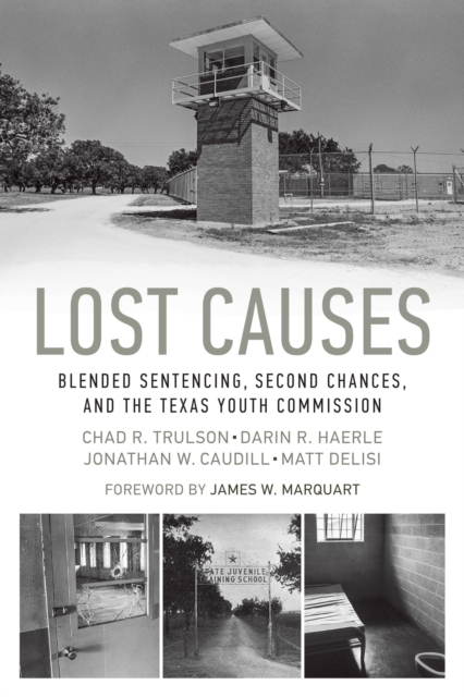 Lost Causes : Blended Sentencing, Second Chances, and the Texas Youth Commission, Paperback / softback Book