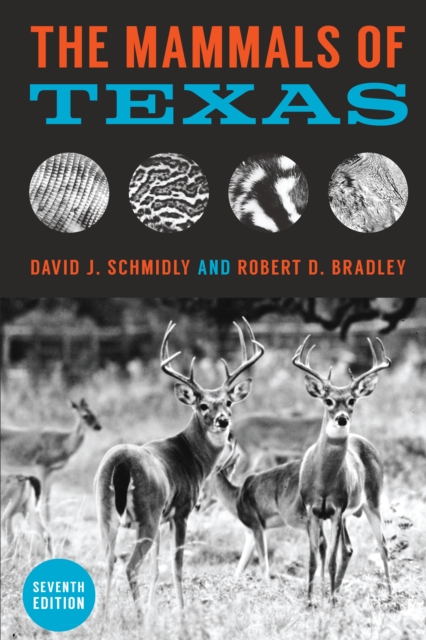 The Mammals of Texas, Paperback / softback Book