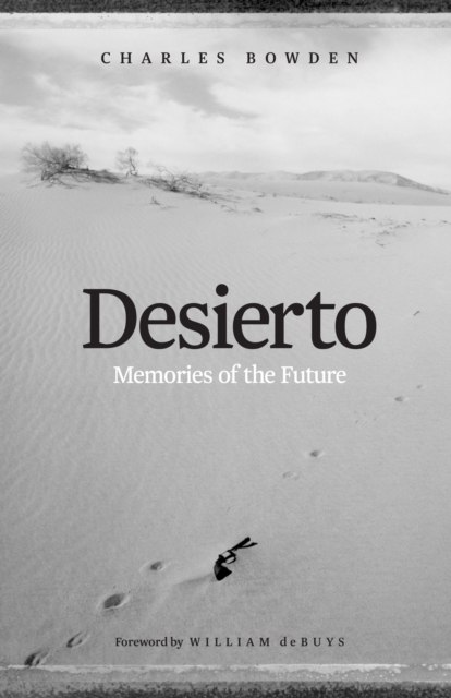 Desierto : Memories of the Future, Paperback / softback Book