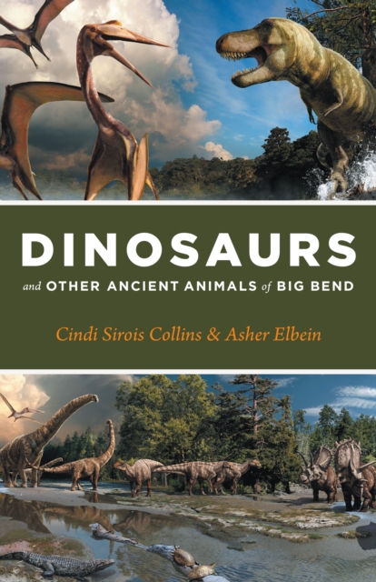 Dinosaurs and Other Ancient Animals of Big Bend, Hardback Book
