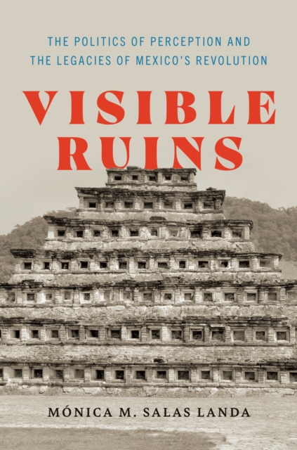 Visible Ruins : The Politics of Perception and the Legacies of Mexico's Revolution, Hardback Book