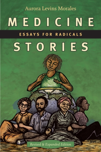 Medicine Stories : Essays for Radicals, Hardback Book
