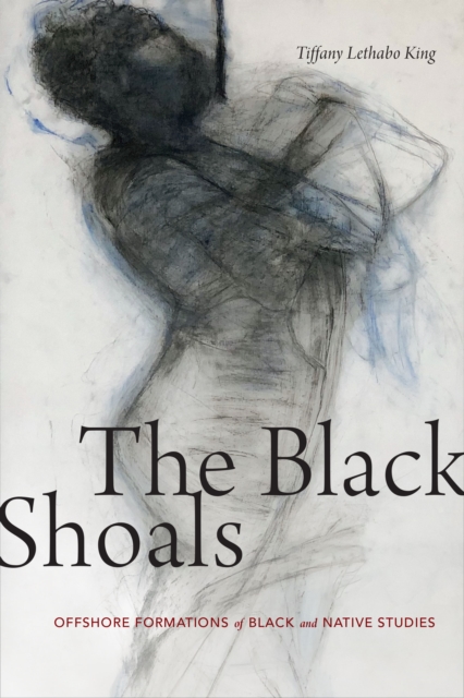 The Black Shoals : Offshore Formations of Black and Native Studies, Hardback Book