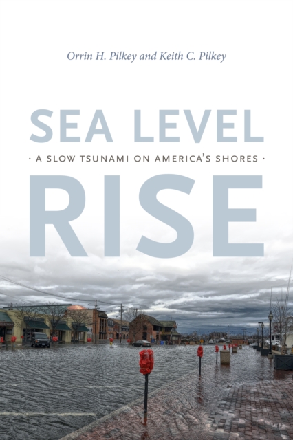 Sea Level Rise : A Slow Tsunami on America's Shores, Hardback Book