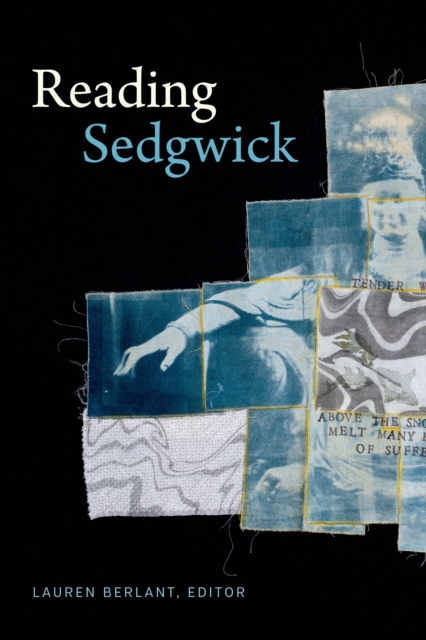 Reading Sedgwick, PDF eBook