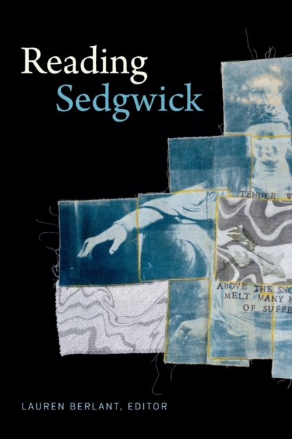 Reading Sedgwick, Paperback / softback Book