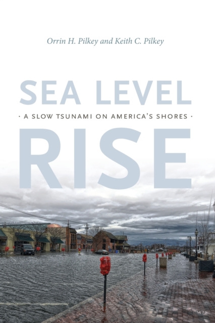 Sea Level Rise : A Slow Tsunami on America's Shores, Paperback / softback Book