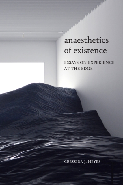 Anaesthetics of Existence : Essays on Experience at the Edge, Hardback Book