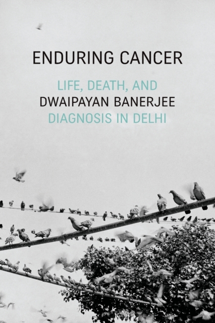 Enduring Cancer : Life, Death, and Diagnosis in Delhi, Paperback / softback Book