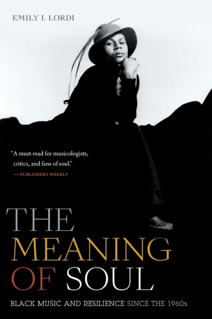 The Meaning of Soul : Black Music and Resilience since the 1960s, Paperback / softback Book