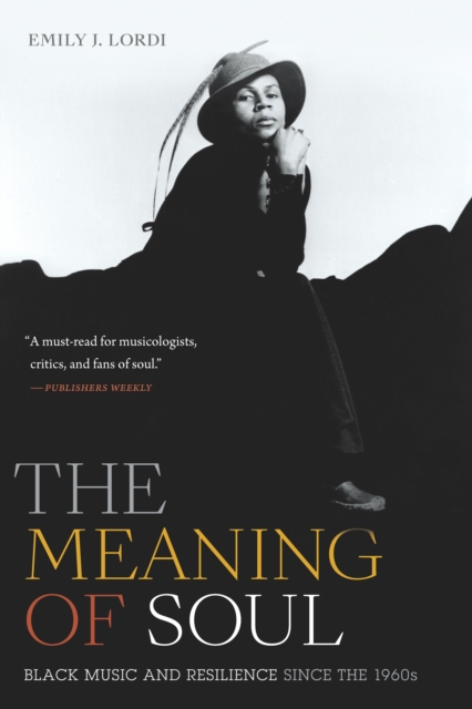 The Meaning of Soul : Black Music and Resilience since the 1960s, PDF eBook