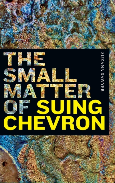 The Small Matter of Suing Chevron, Hardback Book